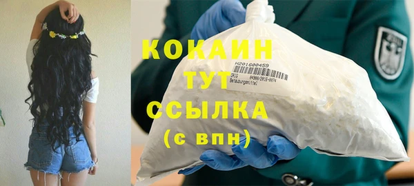 крисы Абаза