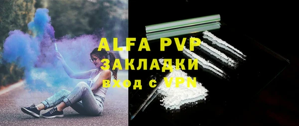 крисы Абаза
