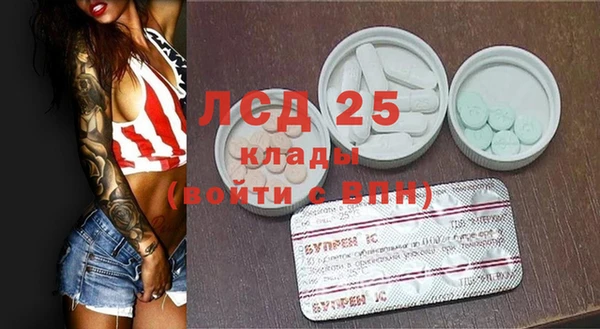 крисы Абаза